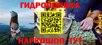 a pvp Усть-Джегута