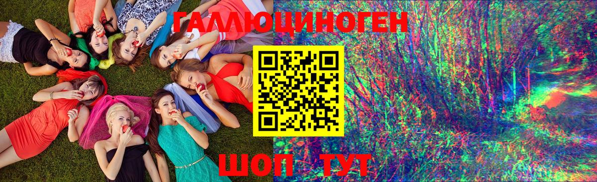 Псилоцибиновые грибы GOLDEN TEACHER  Галлюциногенные грибы MAGIC MUSHROOMS  Вход с VPN  Люберцы 