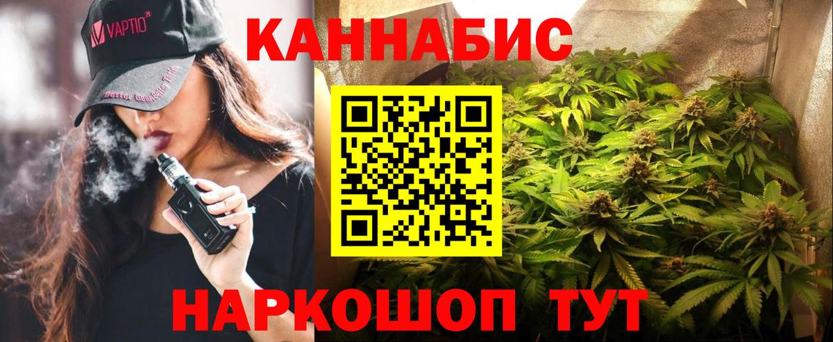 Канабис планчик  Каннабис ГИДРОПОН  Люберцы  Конопля конопля  Вход с VPN 
